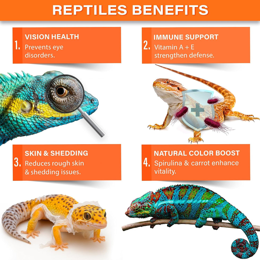 Gargeer 3oz Reptiles Vitamin A Supplement. Skin & Vision Support