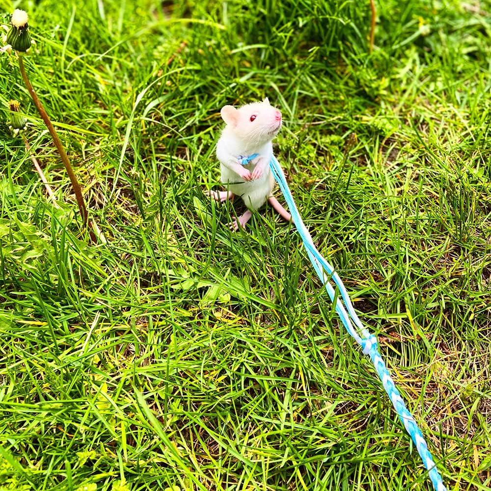 3 Pack Adjustable Hamster Leash Harness