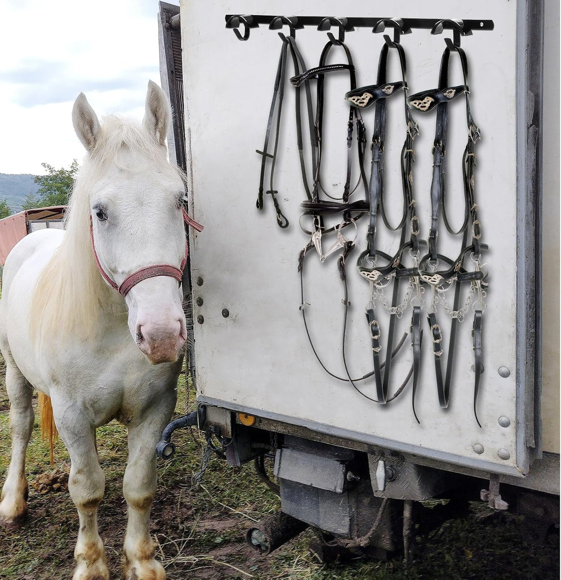Zonon 2 Pcs Bridle Rack for Horse Wall Mount, Horse Tack Bulk