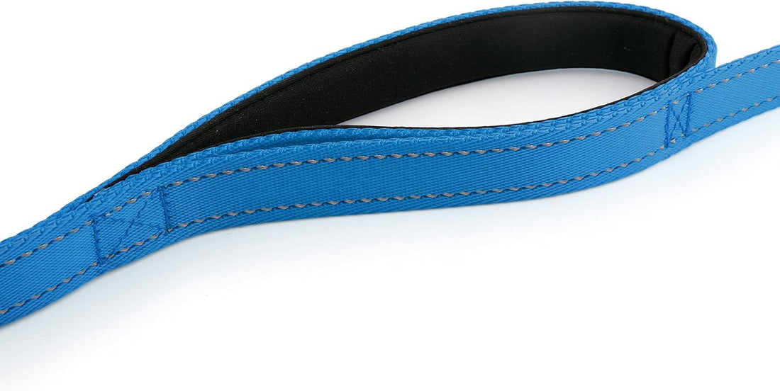 Primal Pet Gear Dog Leash 8ft Long - Blue - Traffic Padded Two Handle
