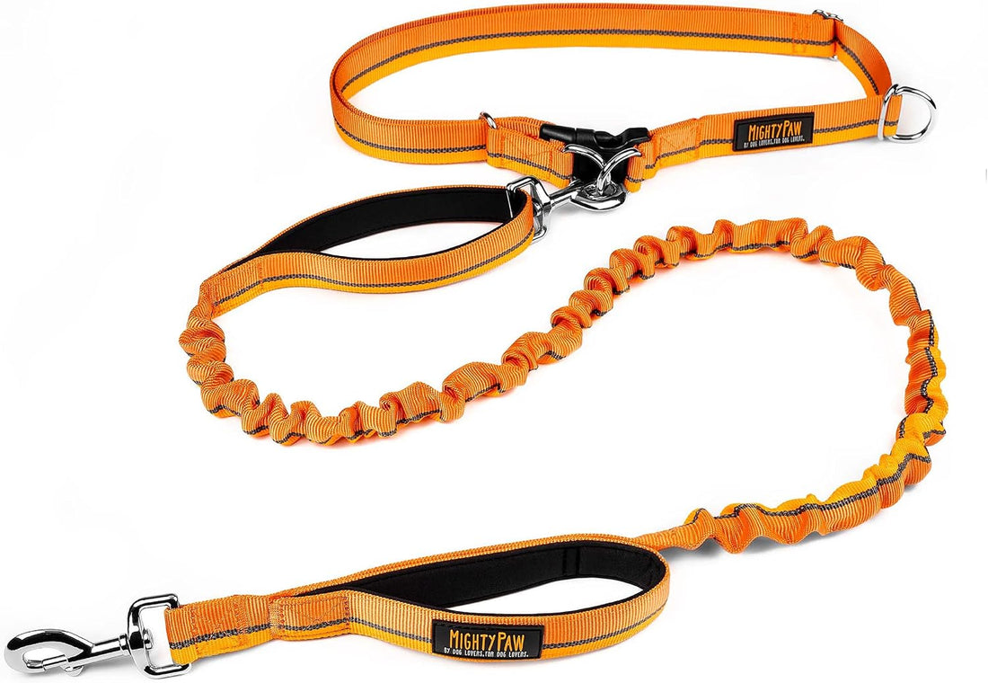 Mighty Paw Hands Free Dog Leash