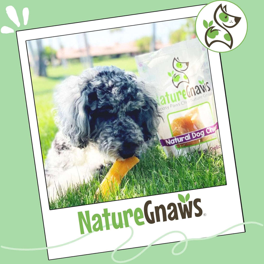 Nature Gnaws Beef Paddywack Tendons 5-6" Dog Chews, 5 Count