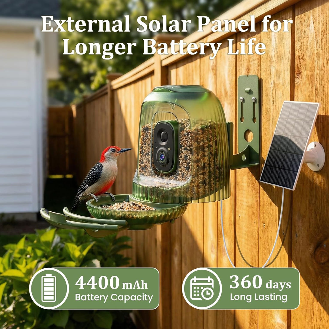 HIXX x COOLFLY Bird Feeder with Camera Solar Powered, Free AI Bird ID