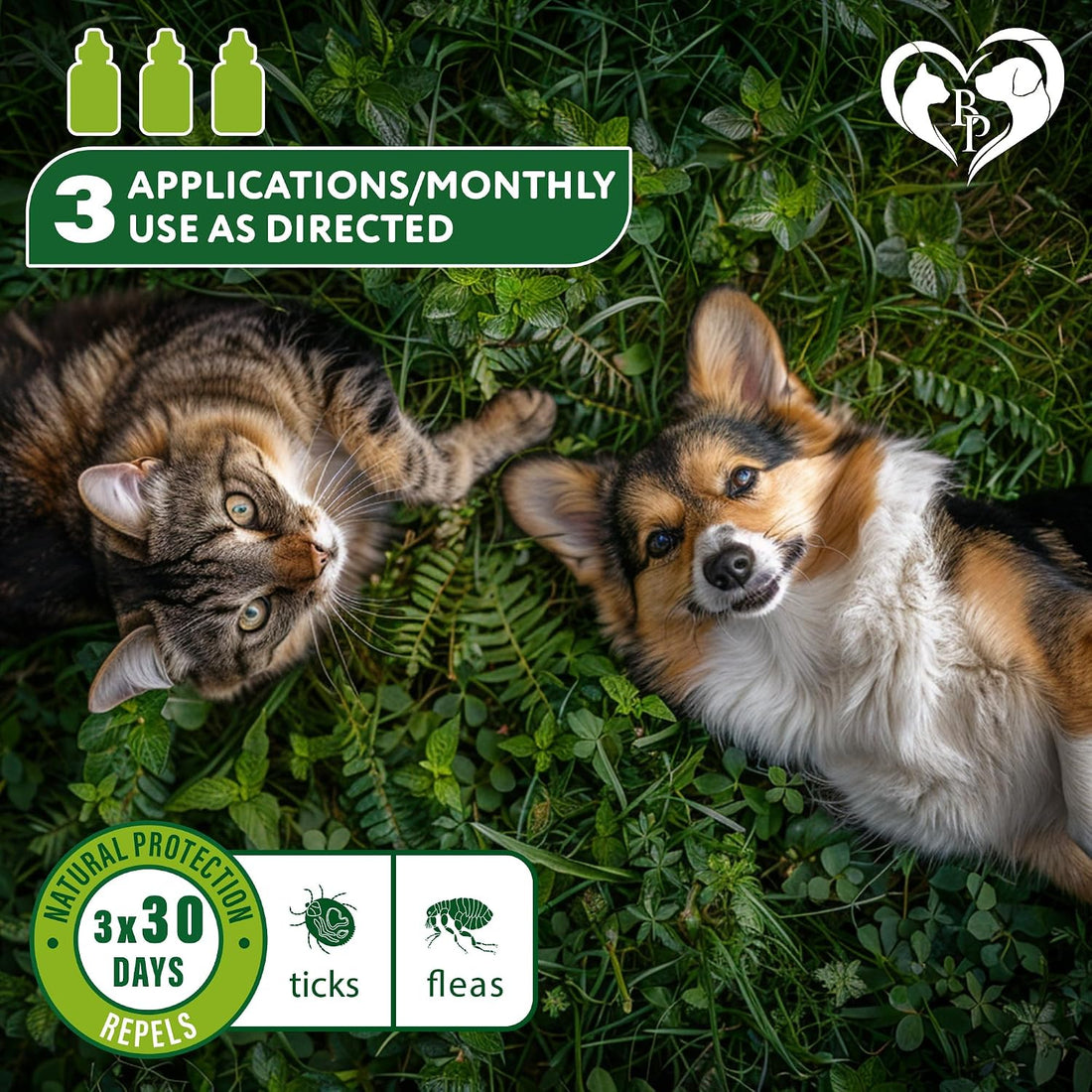 Beloved Pets Flea & Tick Spot-On Drops for Dogs and Cats