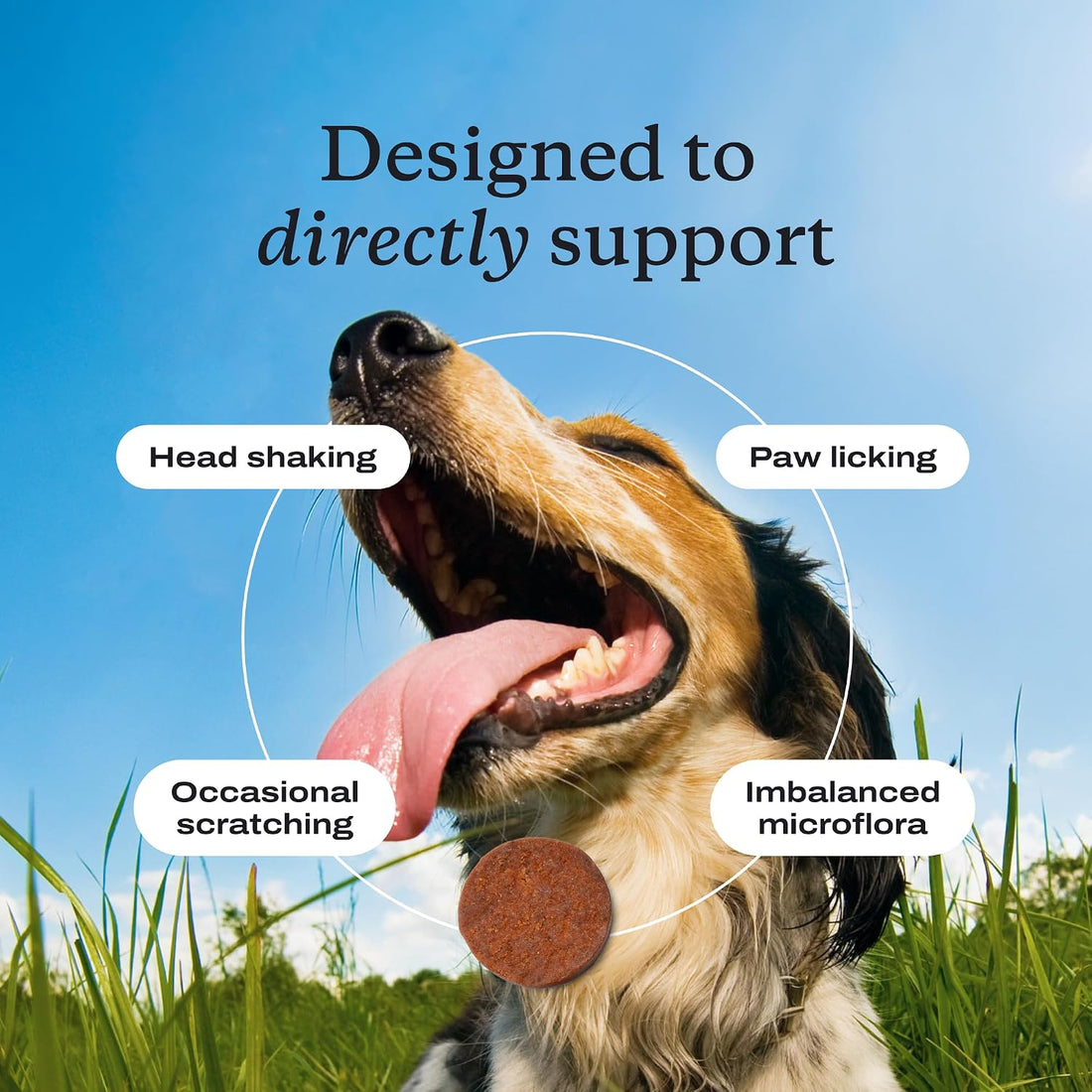 PetLab Co. Allergy & Immune Probiotic Chews, 30 Soft Chews