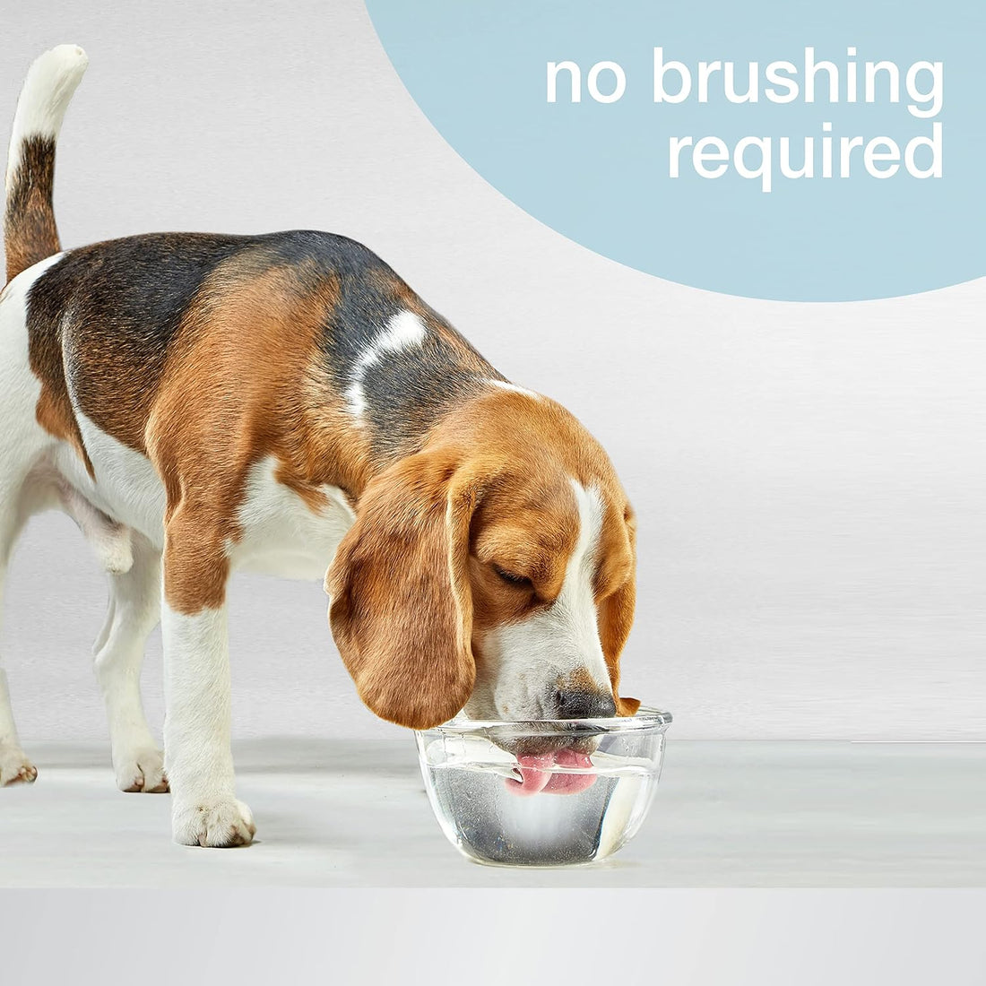 Nylabone Advanced Oral Care Pet Dental Water Additive