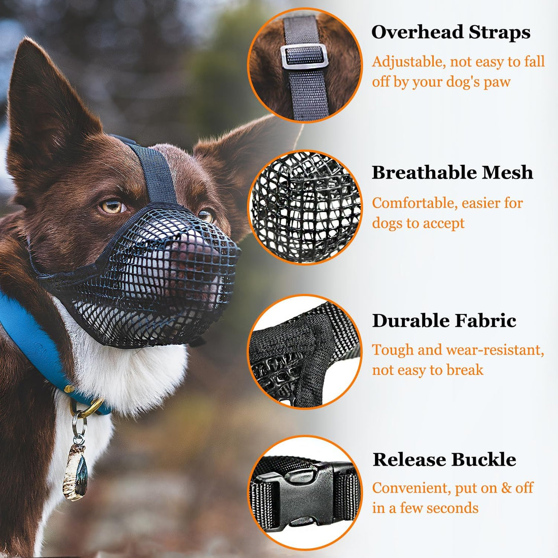 Crazy Felix Mesh Covered Dog Muzzle for Small Medium Large Dog Anti