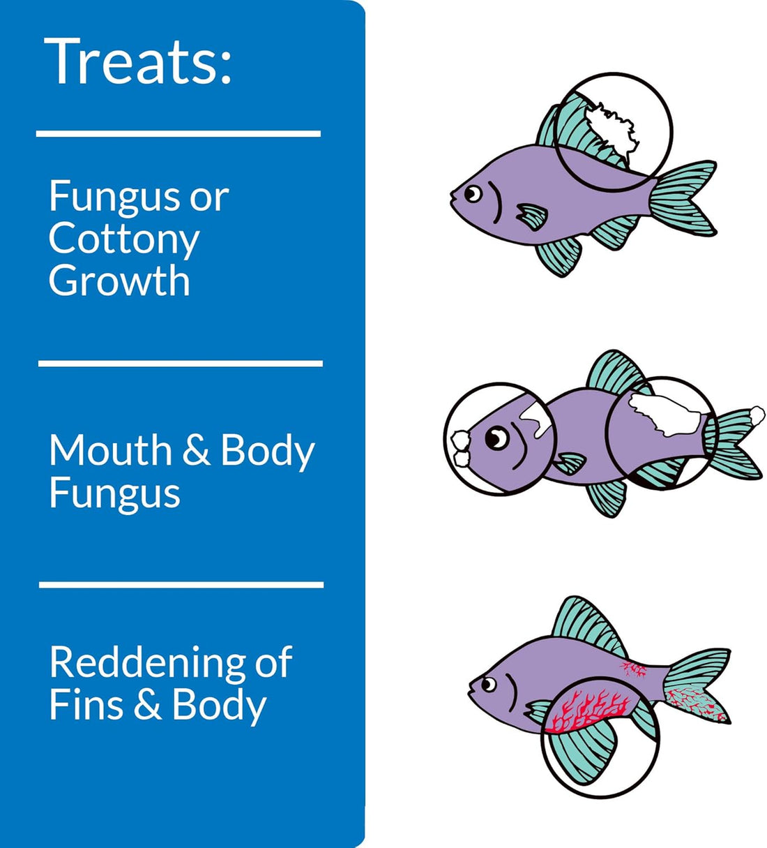 API PIMAFIX Antifungal Freshwater and Saltwater Fish Remedy 16-Ounce