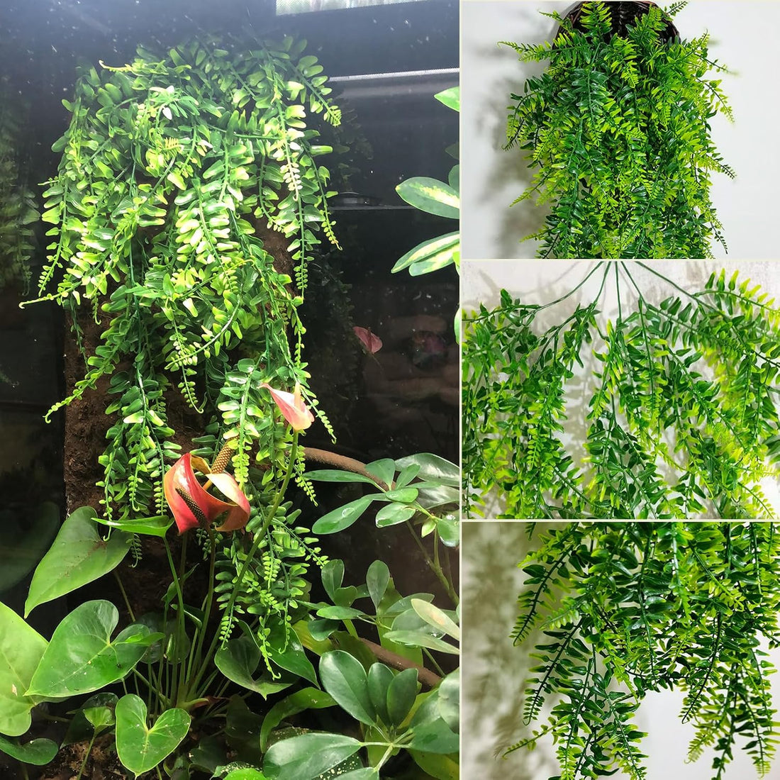 PINVNBY 10 PCS Reptile Plants Vine