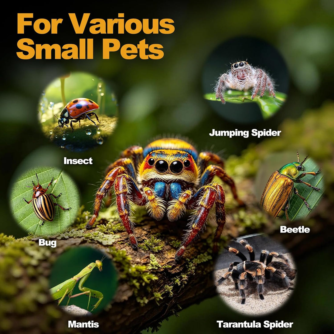 18Pcs Jumping Spider Enclosure Hammock Kit，Ventilation DIY Insects