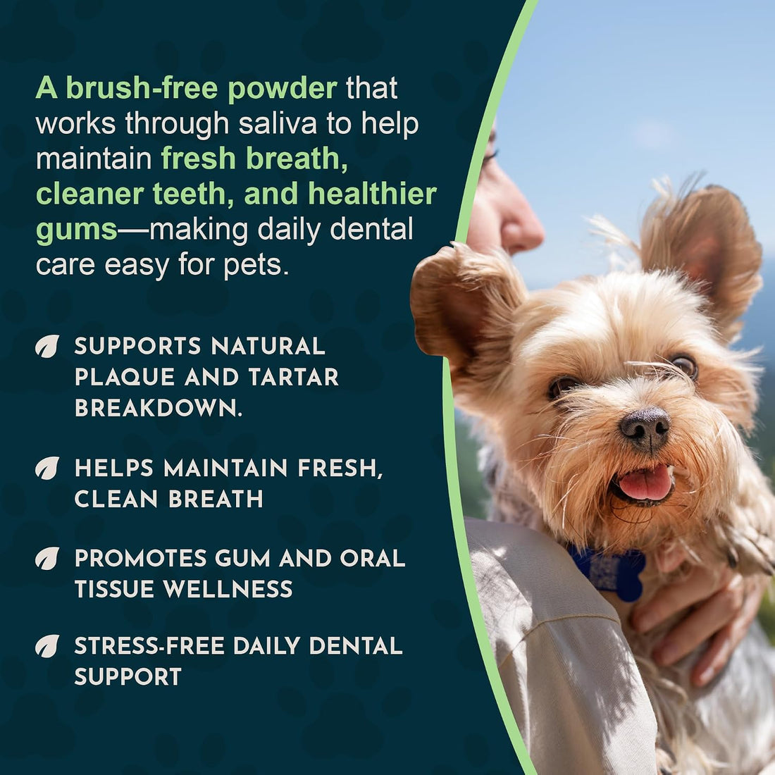 Animal Essentials Sea-Dent for Dog Teeth - 1.76 Oz