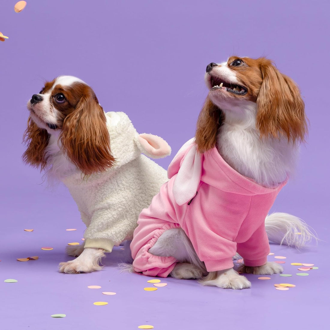 Fitwarm Halloween Sheep Dog Costumes