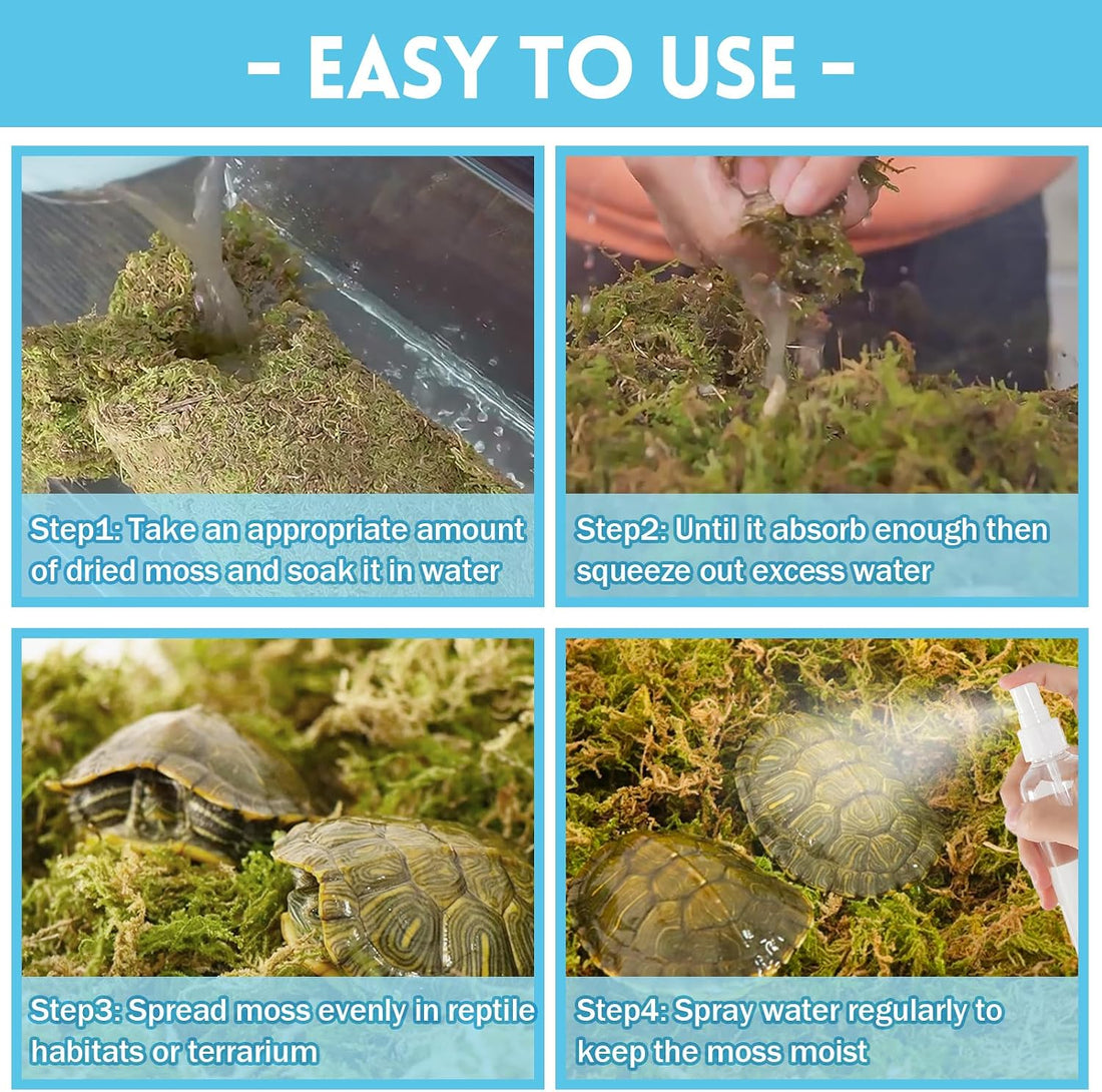 Riare 8 OZ Natural Sphagnum Moss for Reptiles