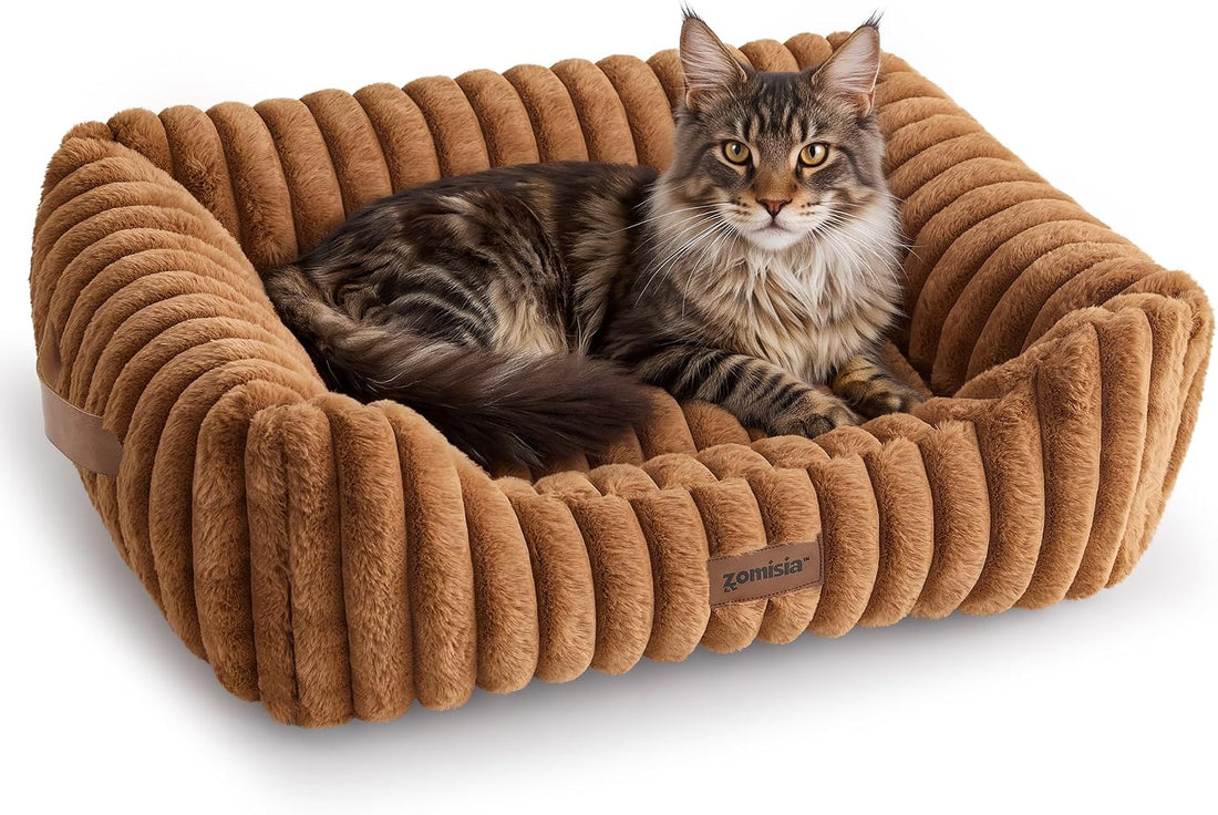 ZOMISIA Orthopedic Large Cat Bed with Removable Washable Cover