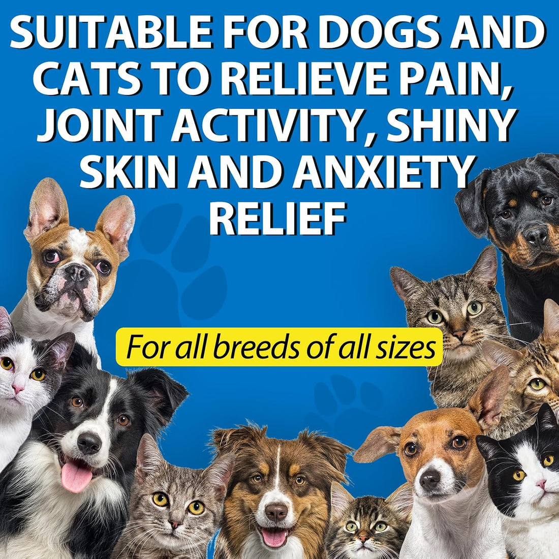 Oil for Dogs & Cats 60ML,Pet Oil for Pain,Skin,Arthritis Pain,Pain