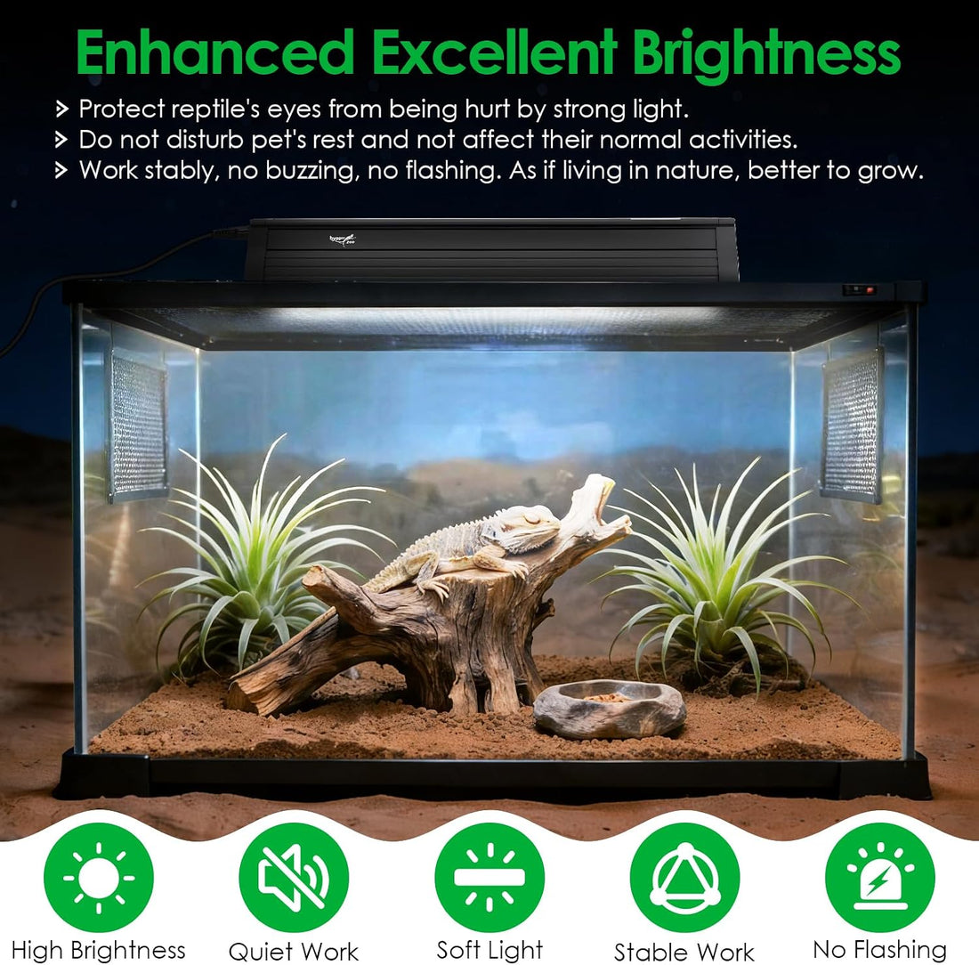 UVB Light for Reptiles Bearded Dragon
