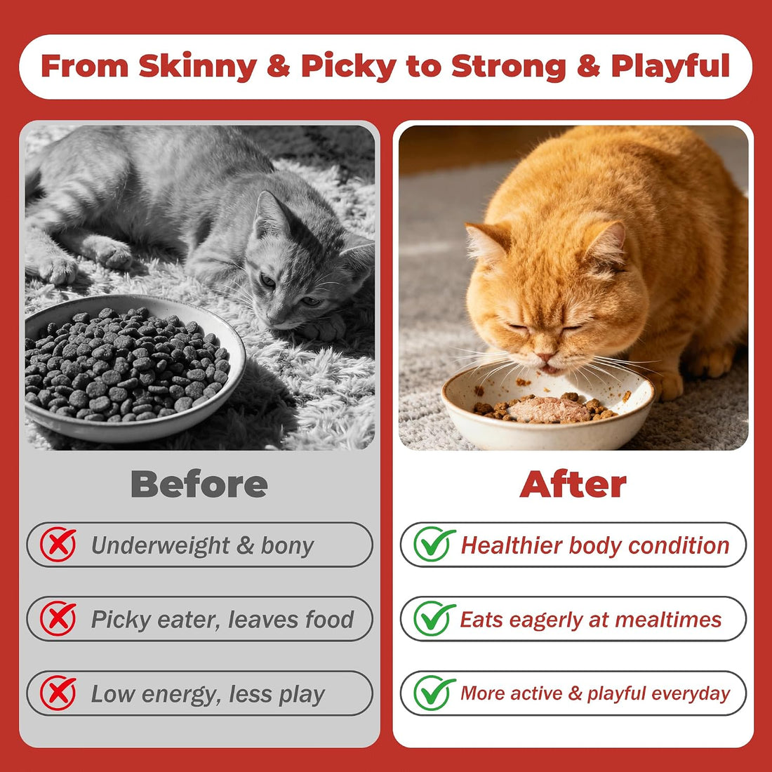High Calorie Nutrition Paste for Cats