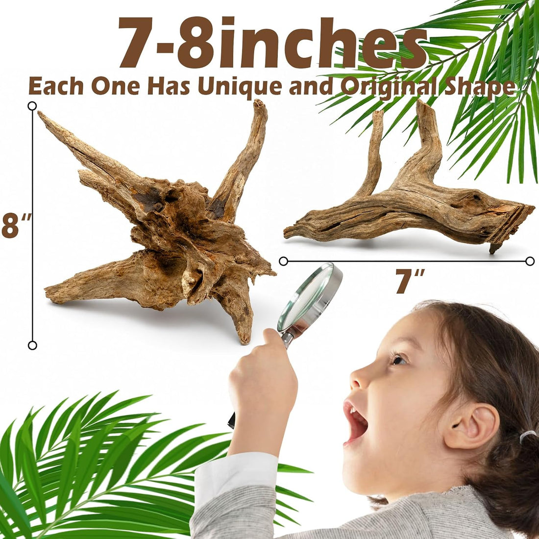 3PCS 8" Natural Driftwood Each Unique for Aquarium & Reptile Tank