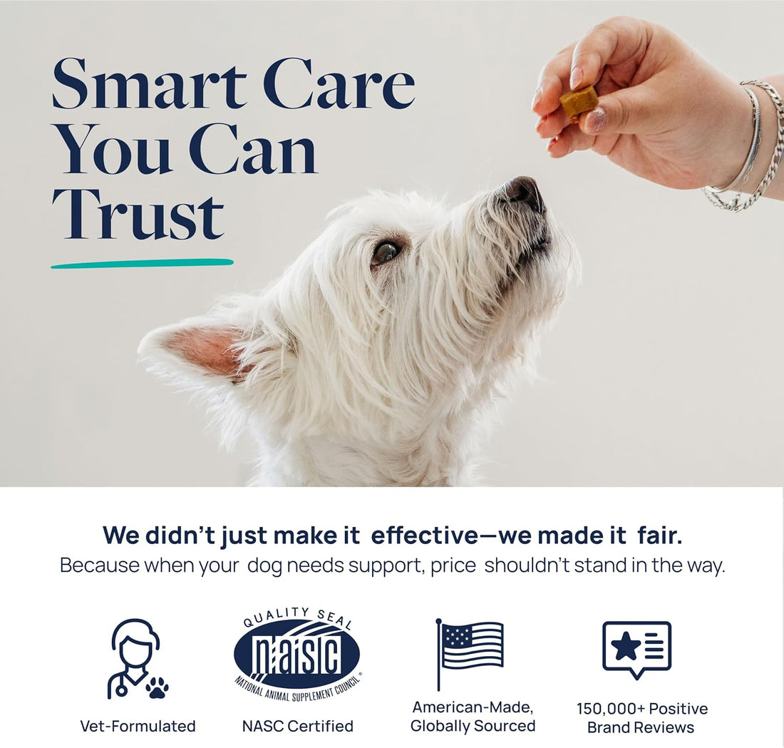 Veterinary Formula Smart Vitality Gut Health Soft Chews for Dogs