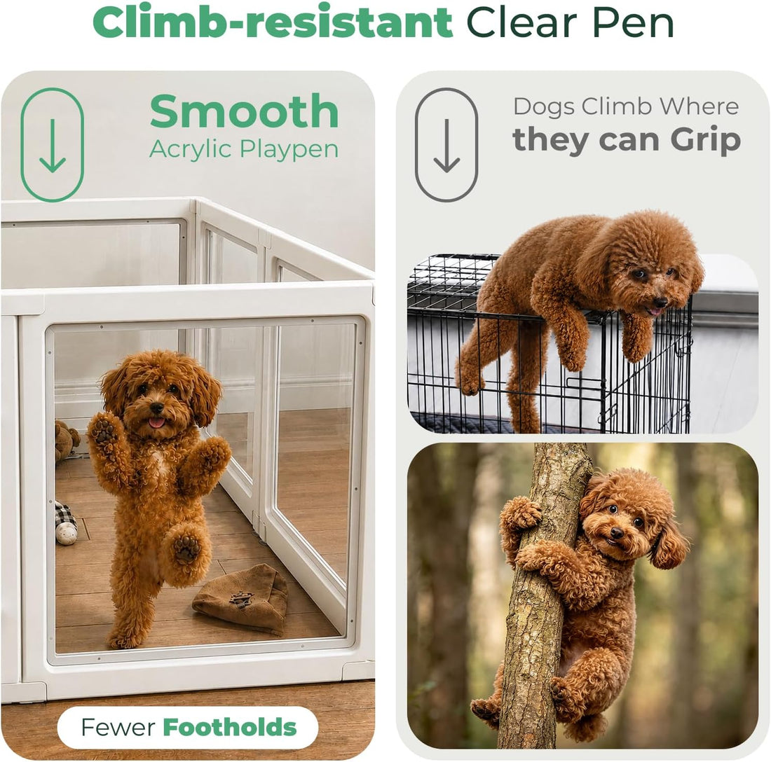 FXW Add-On Whelping Gate & Panel for AuraSpace Acrylic Indoor Dog