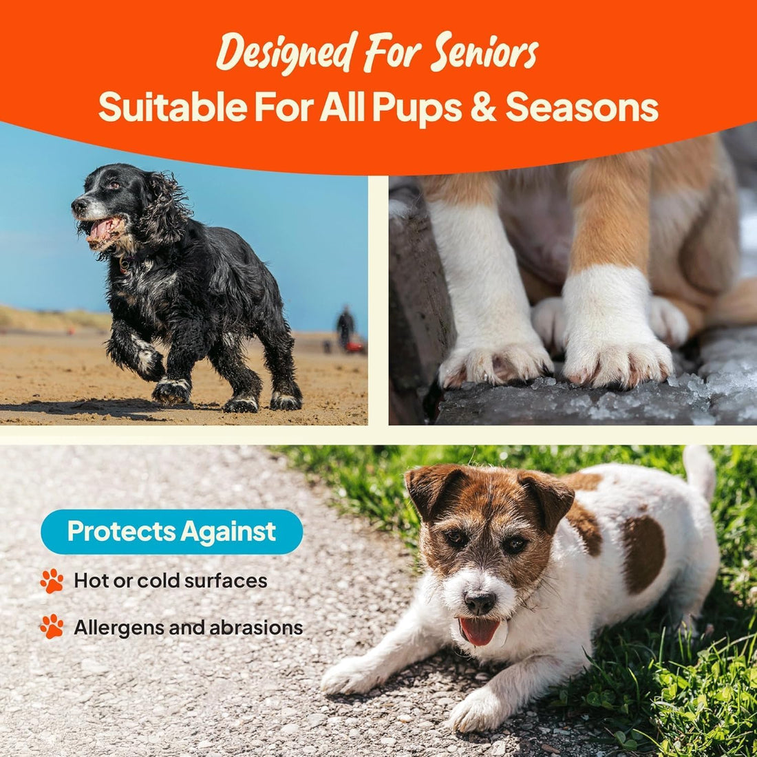 Steady Paws 3-in-1 Paw Balm for Dogs