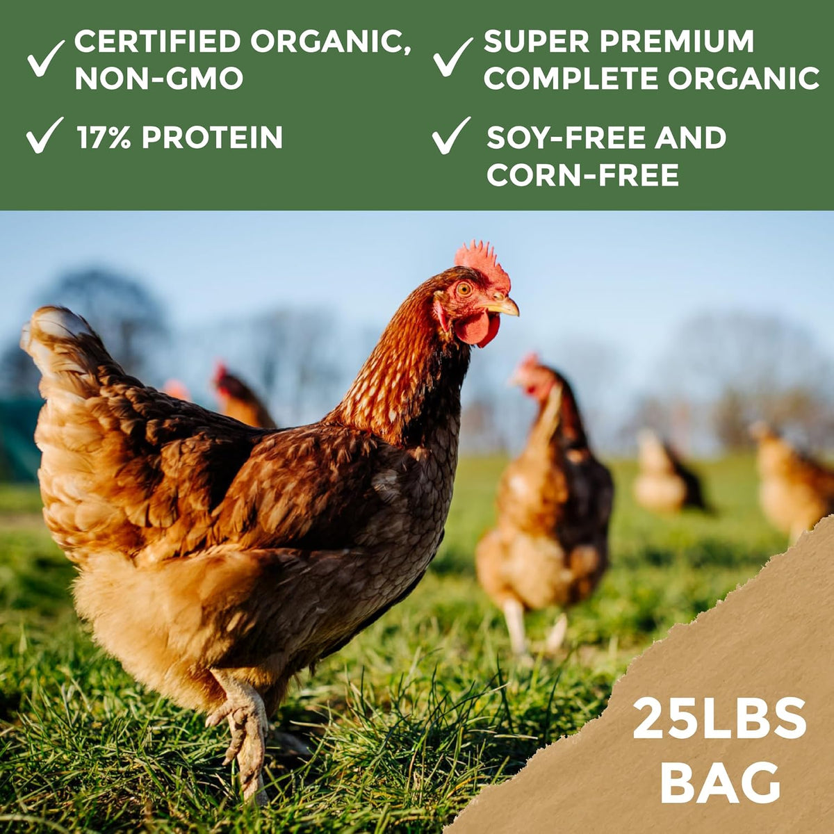 New Country Organics | Corn-Free Classic Layer Chicken Feed for Laying Hens | Corn-Free and Soy-Free | 17% Protein | Certified Organic and Non-GMO Chicken Food | 25lbs Bag