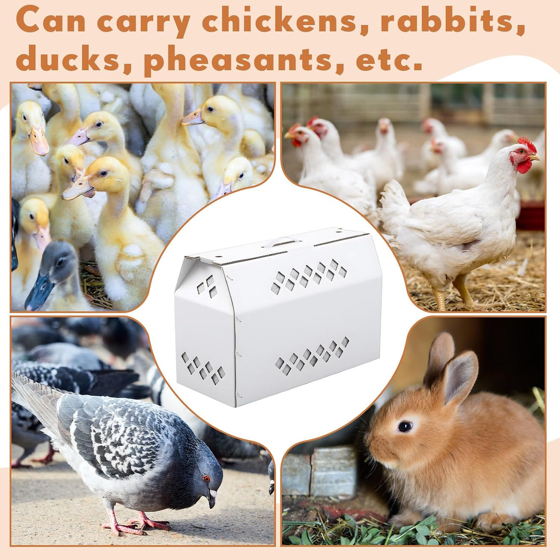 YooNotee 6 Pack Single Live Chicken Shipping Box