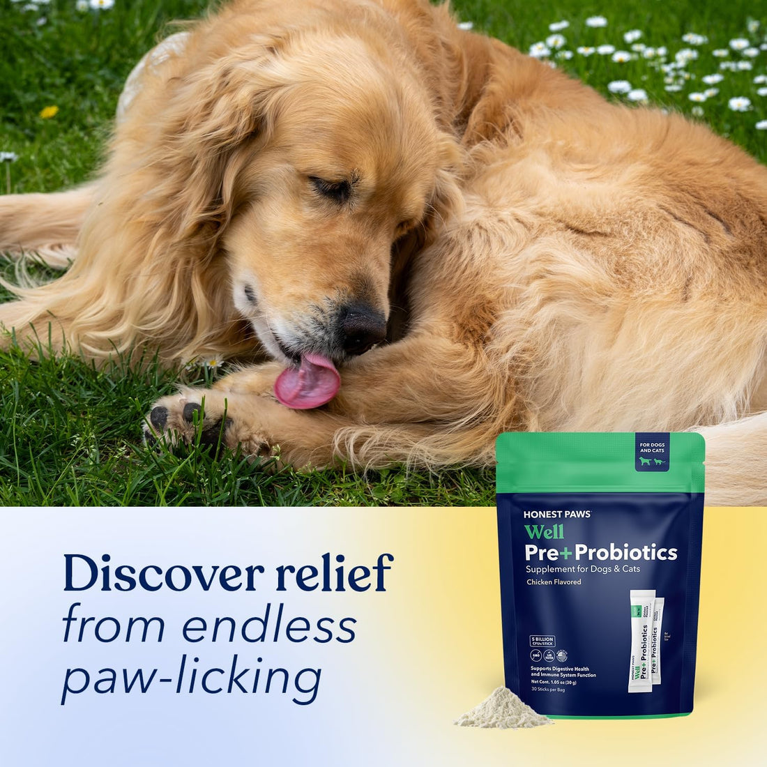 Honest Paws Probiotics for Dogs