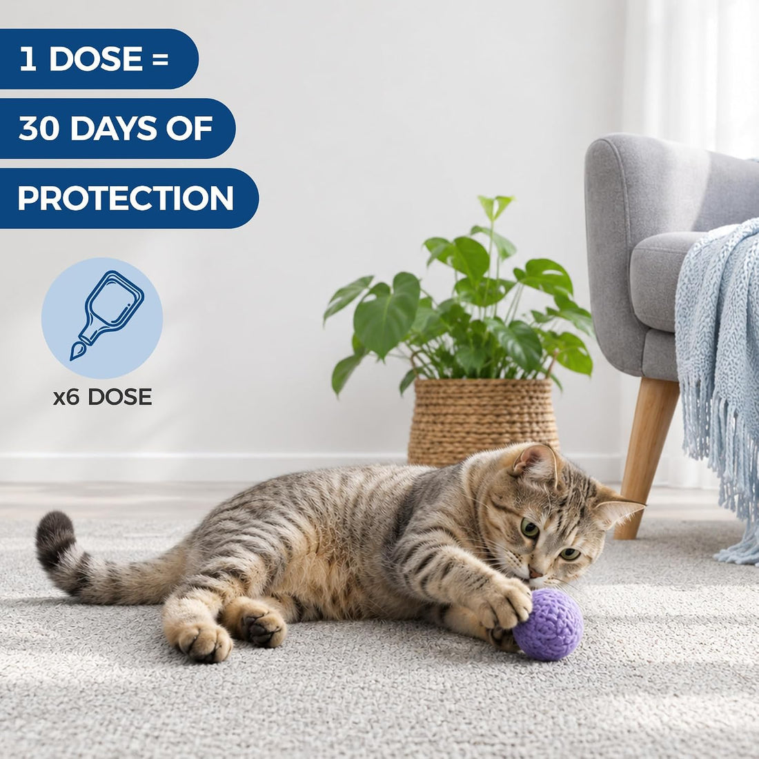 Miguelina 6Pcs Flea & Tick Topical Spot-On Drops for Cat