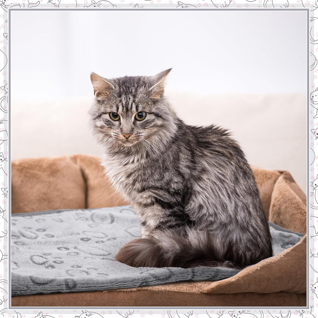 Tegeme 12 Pcs Puppy Blanket for Litter Dog Cat