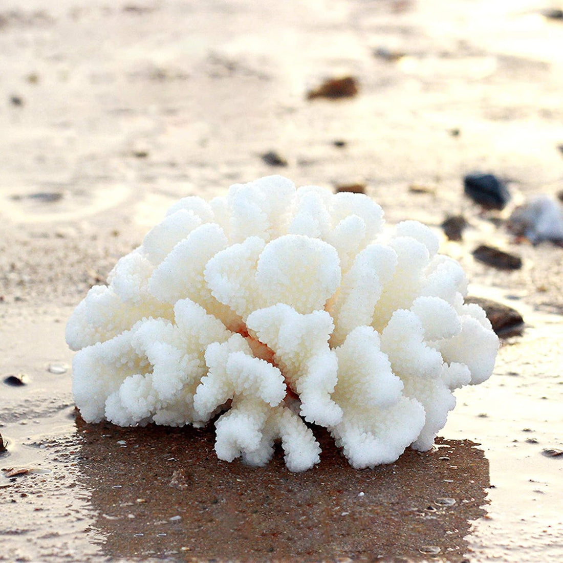 Besimple Pack of 2 Artificial Coral Ornament
