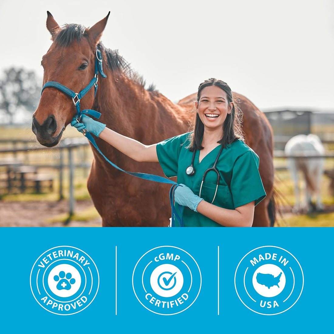 PRN Pharmacal Duralactin Equine Joint Plus Pellets, 3.75 lbs