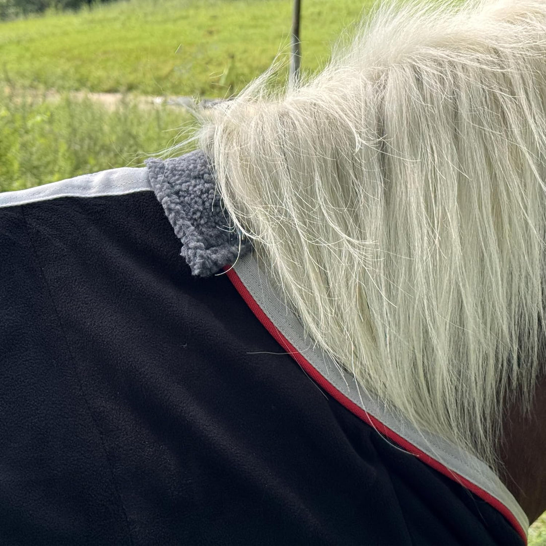 Fleece Cooler Blanket for Mini Horse/Pony/Foal/Miniature Horses