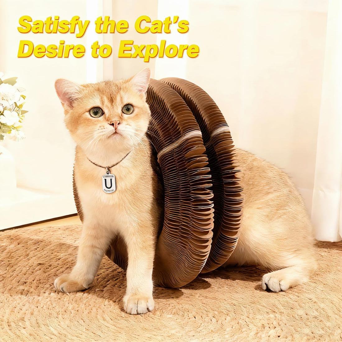 Kitty Kurls Magic Organ Cardboard Cat Scratcher Toy with 2 Balls