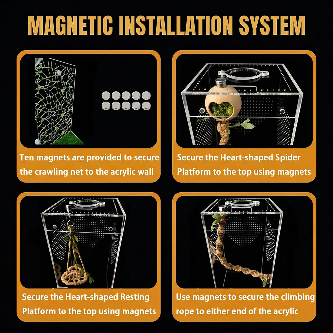 Jumping Spider Enclosure Kit