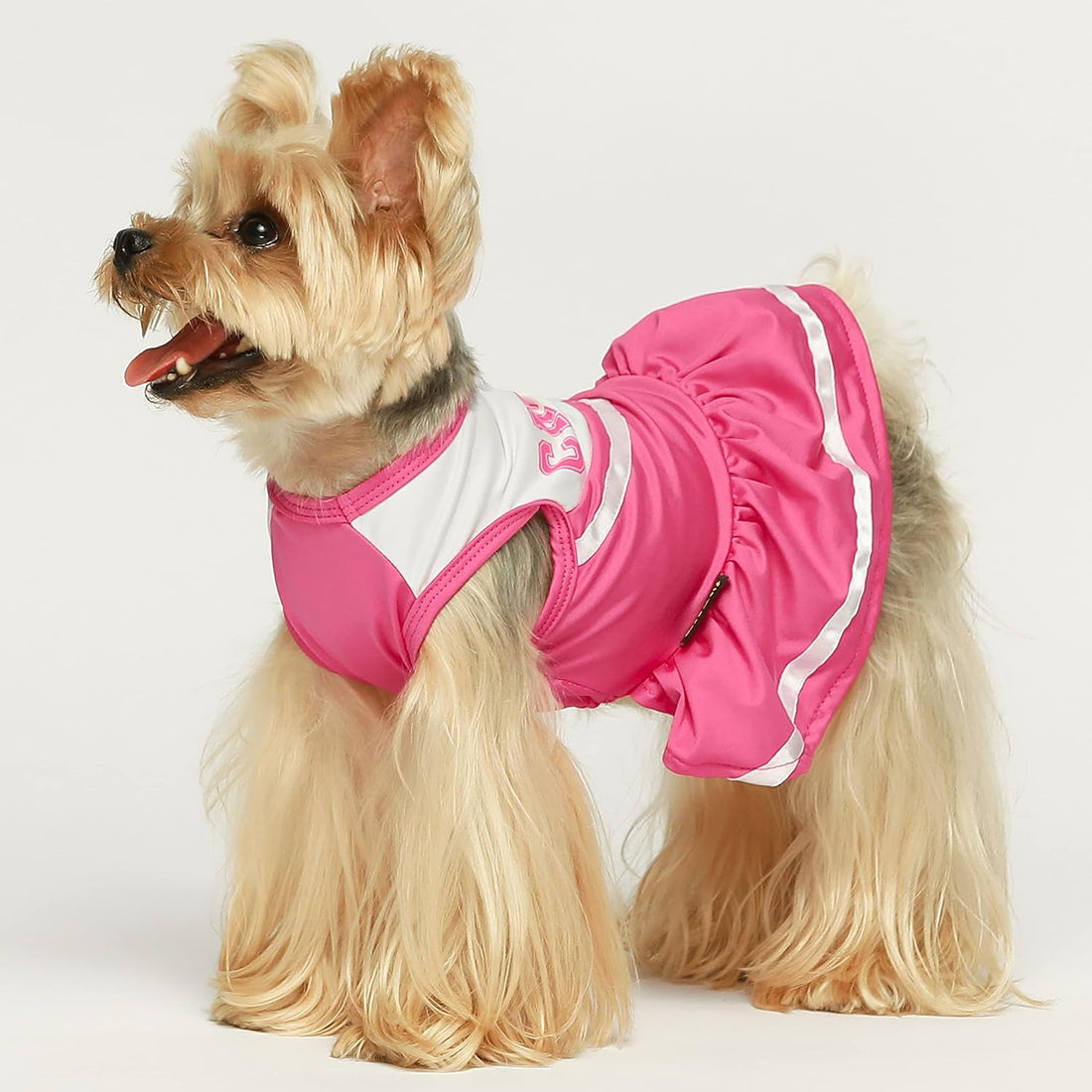 Fitwarm Cheerleader Dog Costume