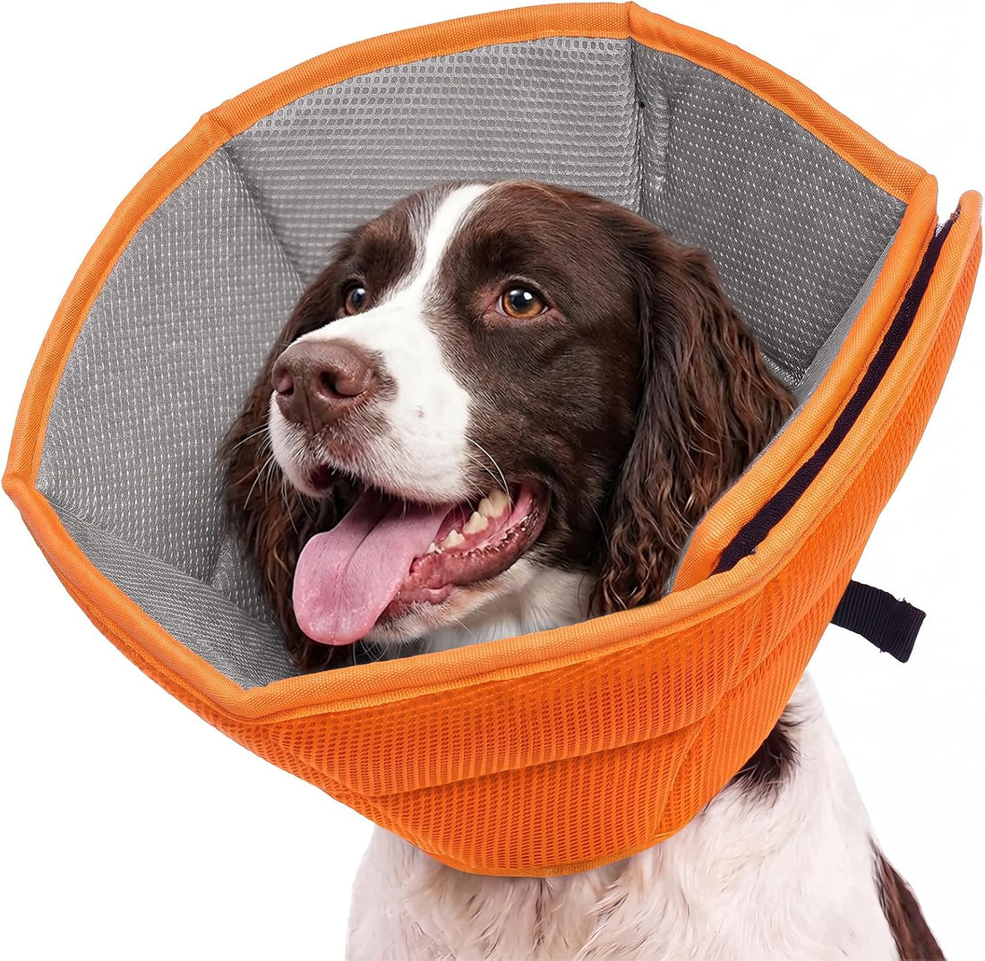 Allroaring Dog Cone Collar After Surgery