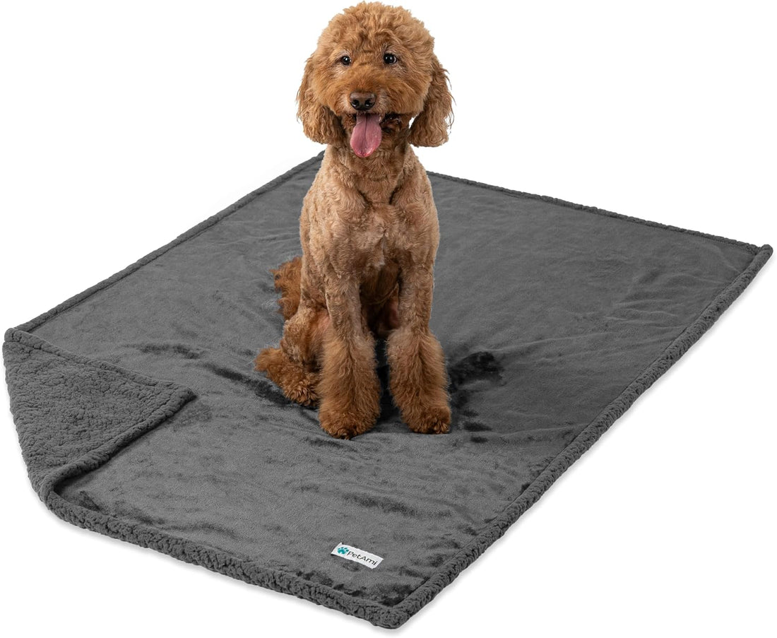 PetAmi Waterproof Dog Blanket for Couch, Extra Large 80x60