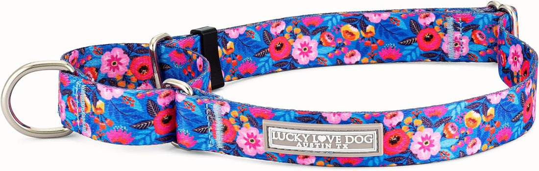 Lucky Love Dog Martingale Collar for Medium Dogs Cute – Blackbird