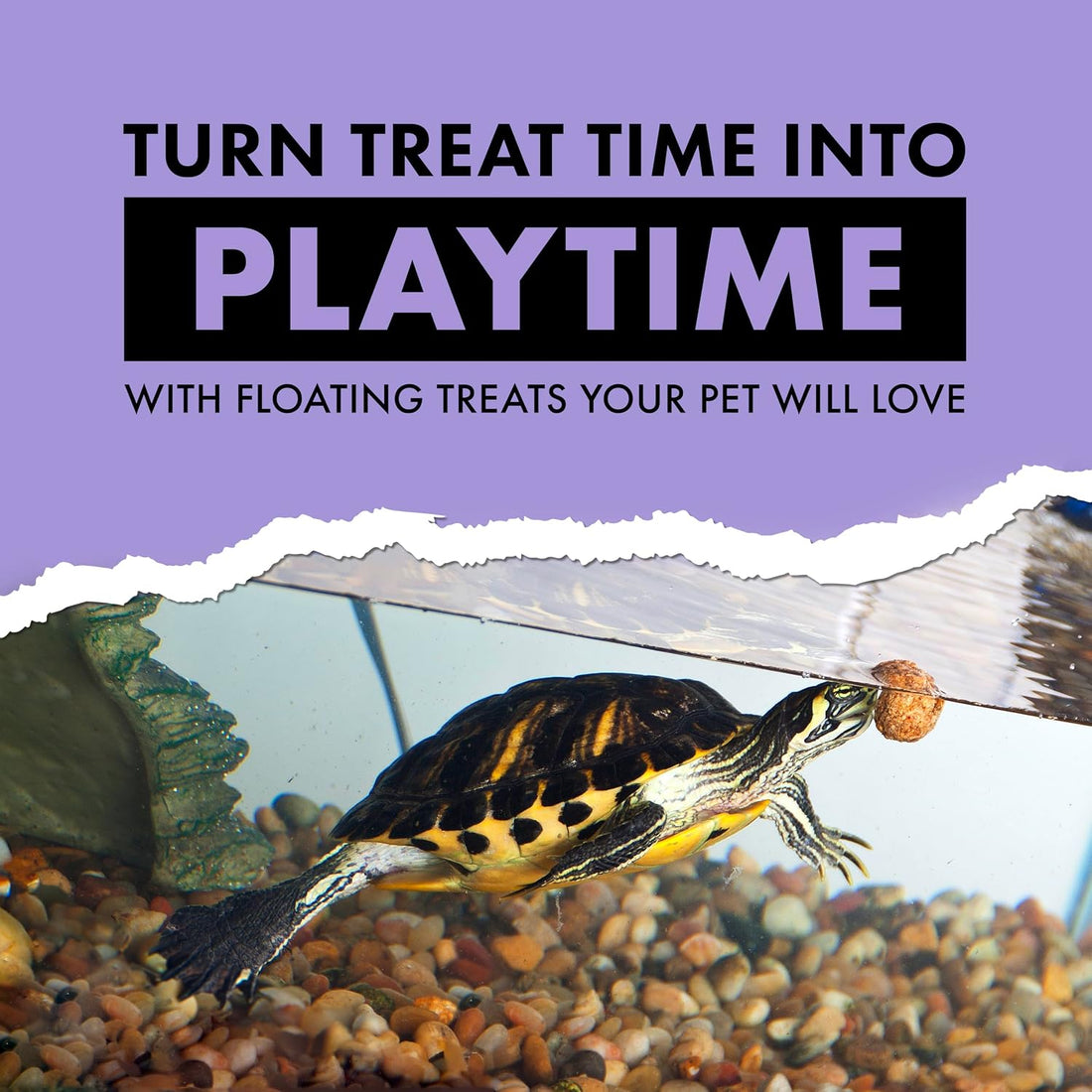 Zilla Turtle Chasers Floating Treats, Turtle Food