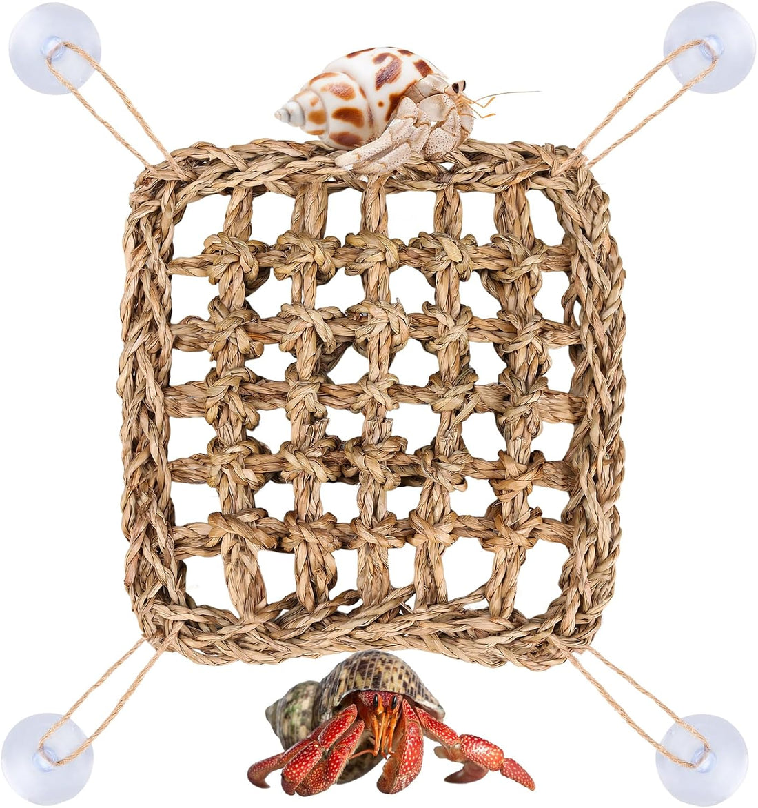 Hermit Crab Climbing Toys,Lizard Seagrass Mat,Hermit Crab Hammock