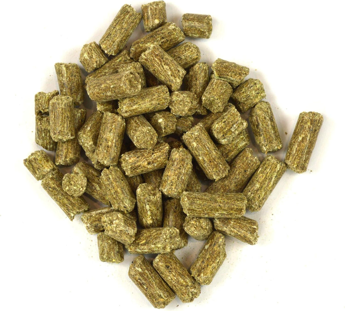Oxbow Garden Select Mouse & Young Rat Food, Rat Food Pellets, Non-GMO