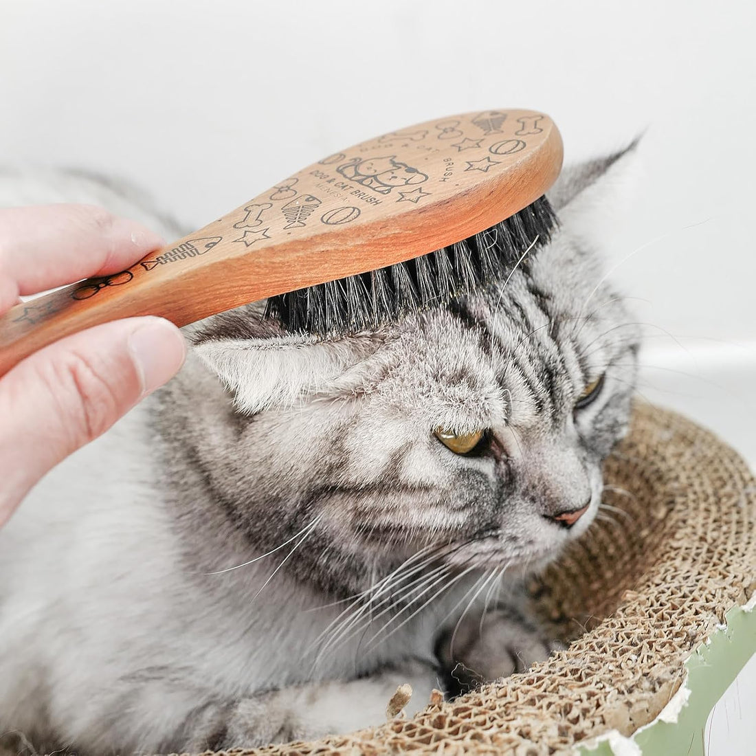 Menesia Pet Soft Brush with Wood Handle and Boar Bristle Hair