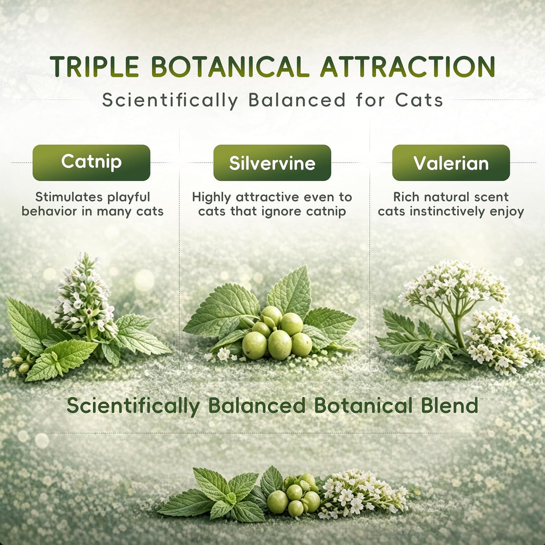 INCCIAVO Silvervine Spray for Cats with Catnip and Valerian