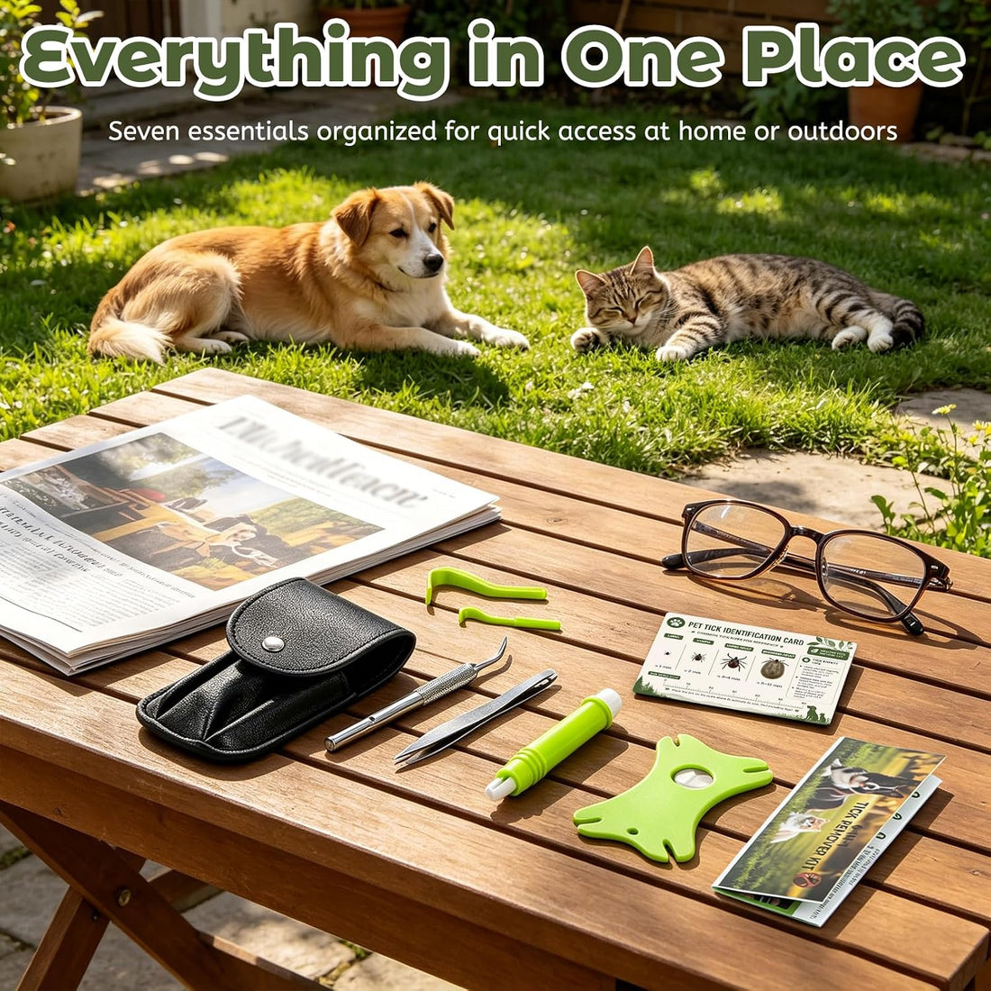Tick Remover Tool Kit, 6-in-1 Professional Tick Removal for Dogs Cats
