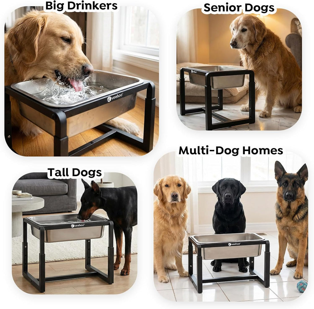 Veehoo 2.4 Gallon Elevated Dog Water Bowl