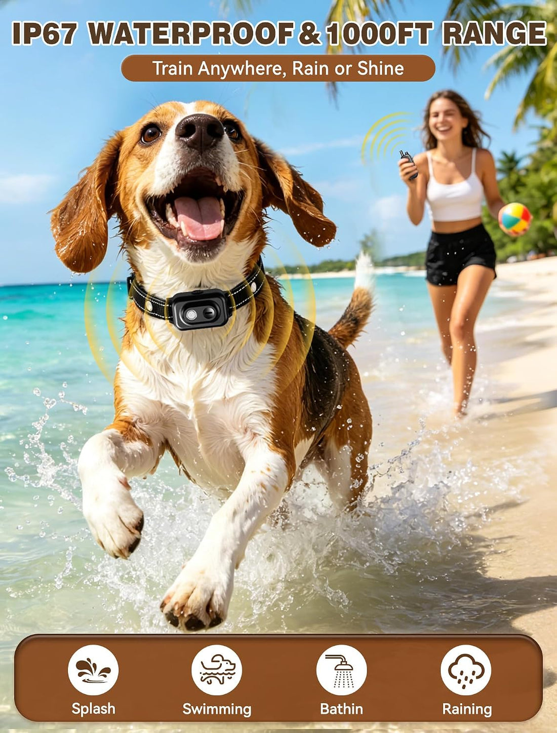 Small Dog Shock Collar with Remote