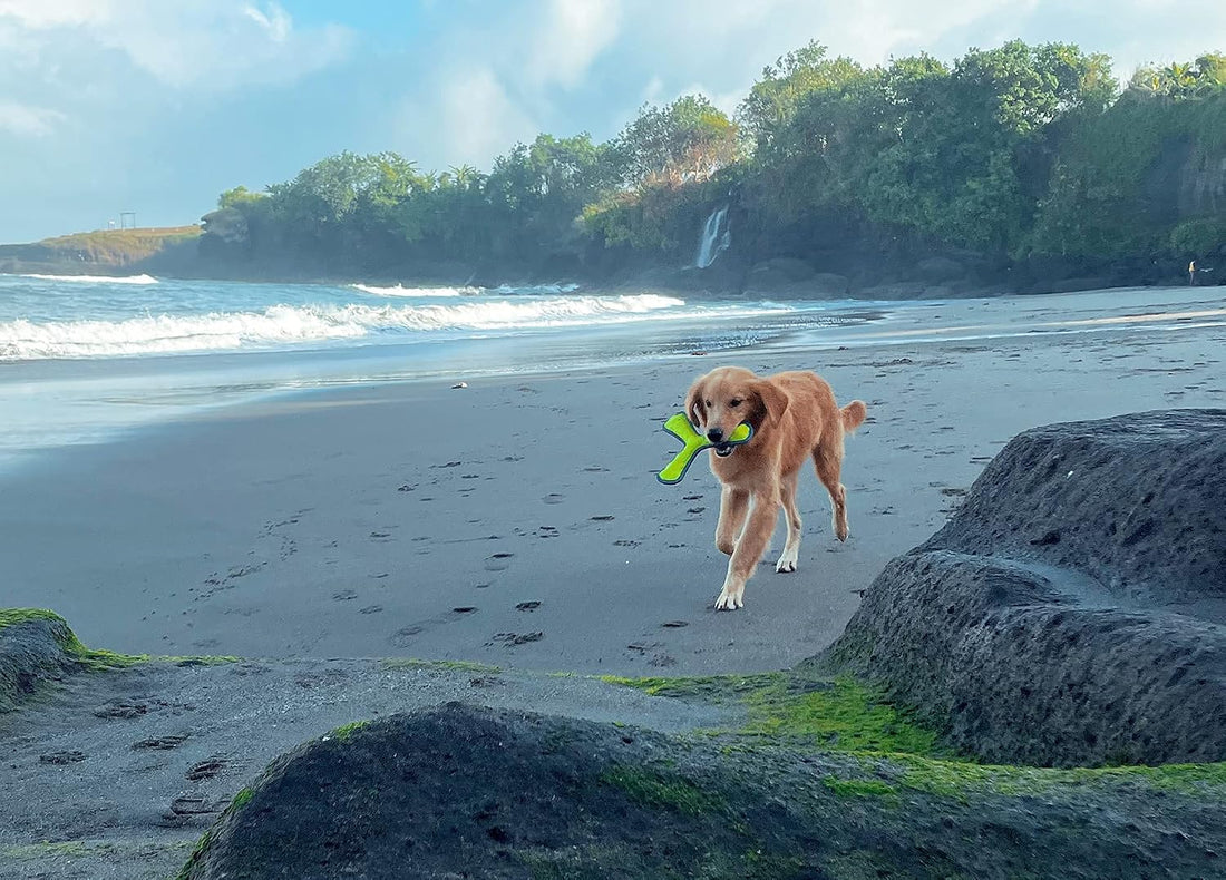 Tuff Pupper SuperChewy Tough Floating Dog Water Toy Strong Natural