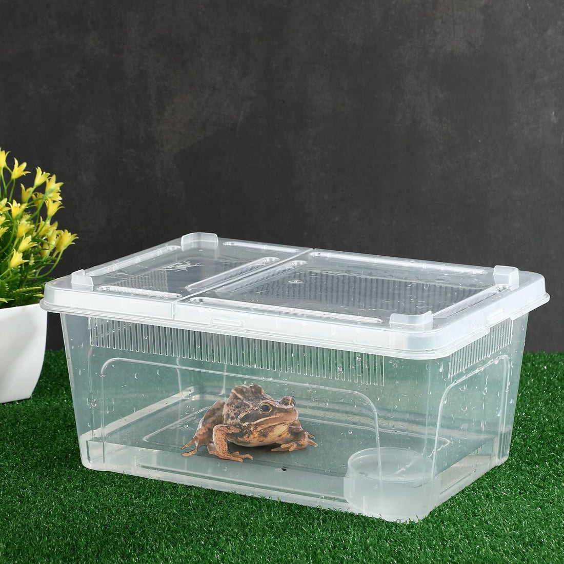 8 Pcs Reptile Breeding Box, Vent Strips, Clear, 10.6 x 7.4 x 4.7 Inch