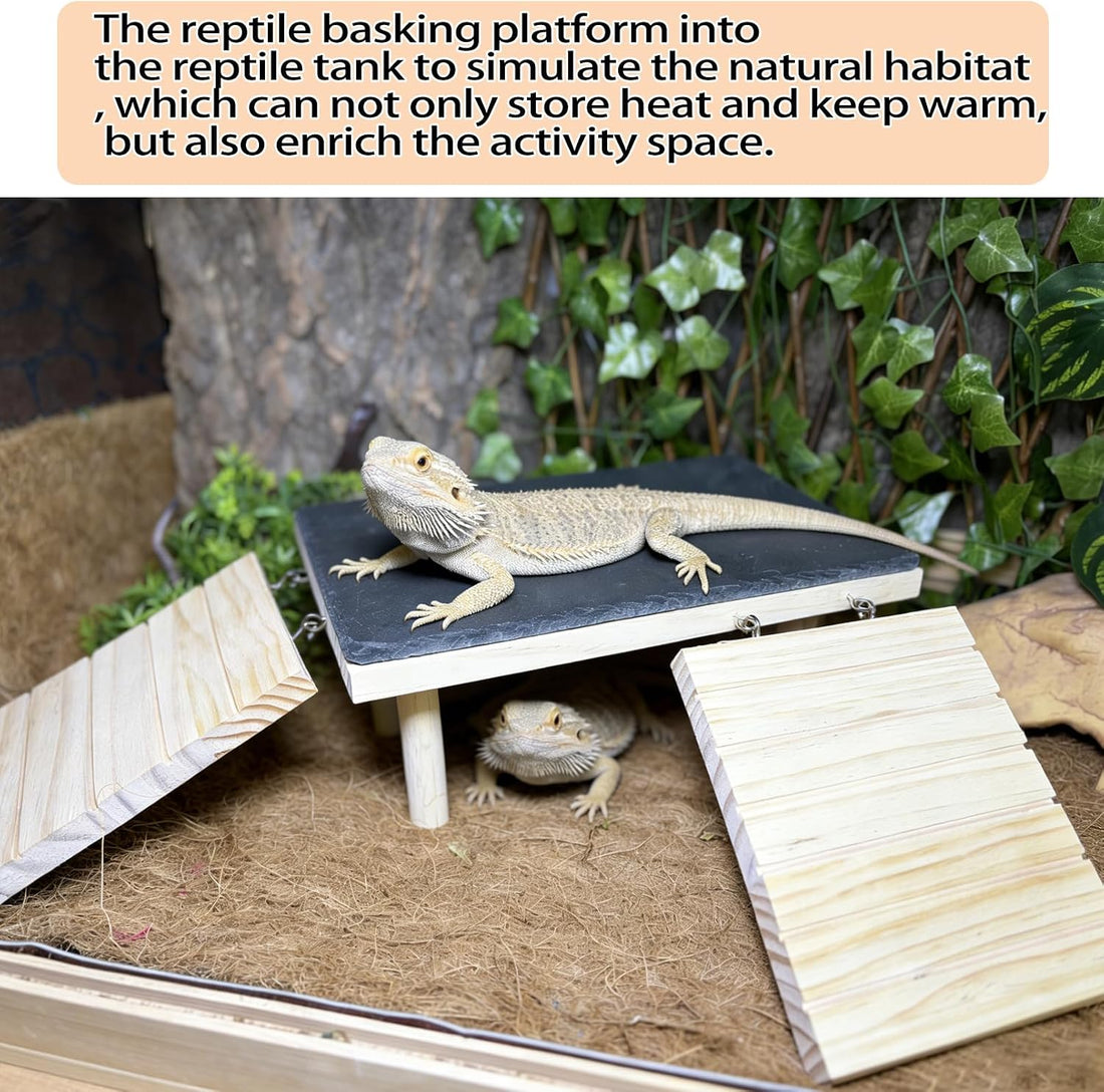 Bearded Dragon Basking Platform with Climbing Ramp & Reptile Rock